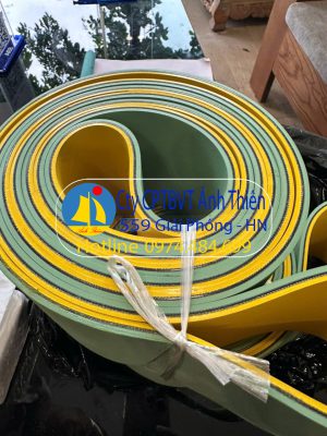 Dây đai dẹt xanh vàng 6mm